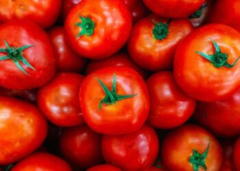 EEUU aplicará arancel del 17 % a tomates frescos importados desde México